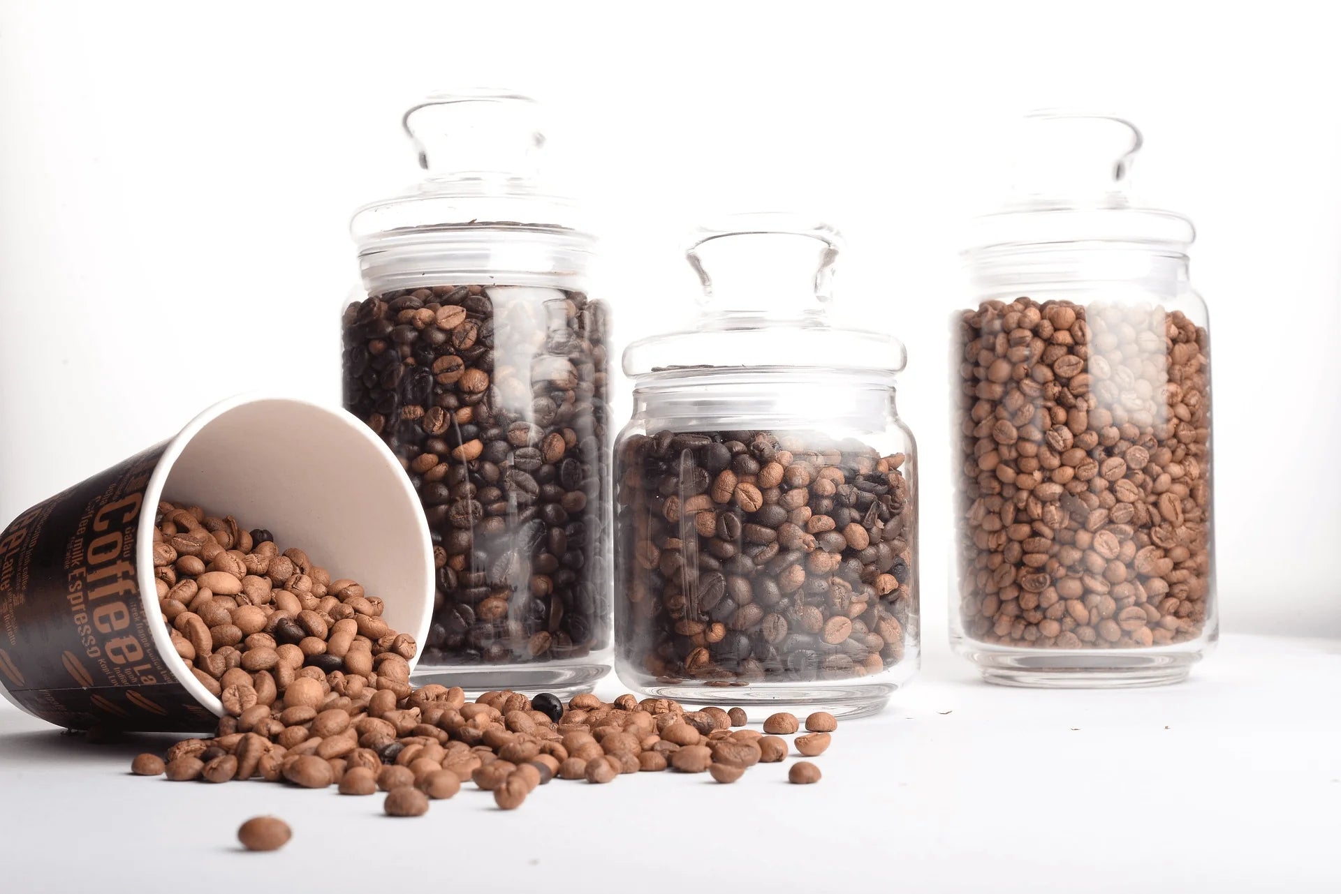 Best Light Roast Coffee: Top Picks for a Flavorful Brew